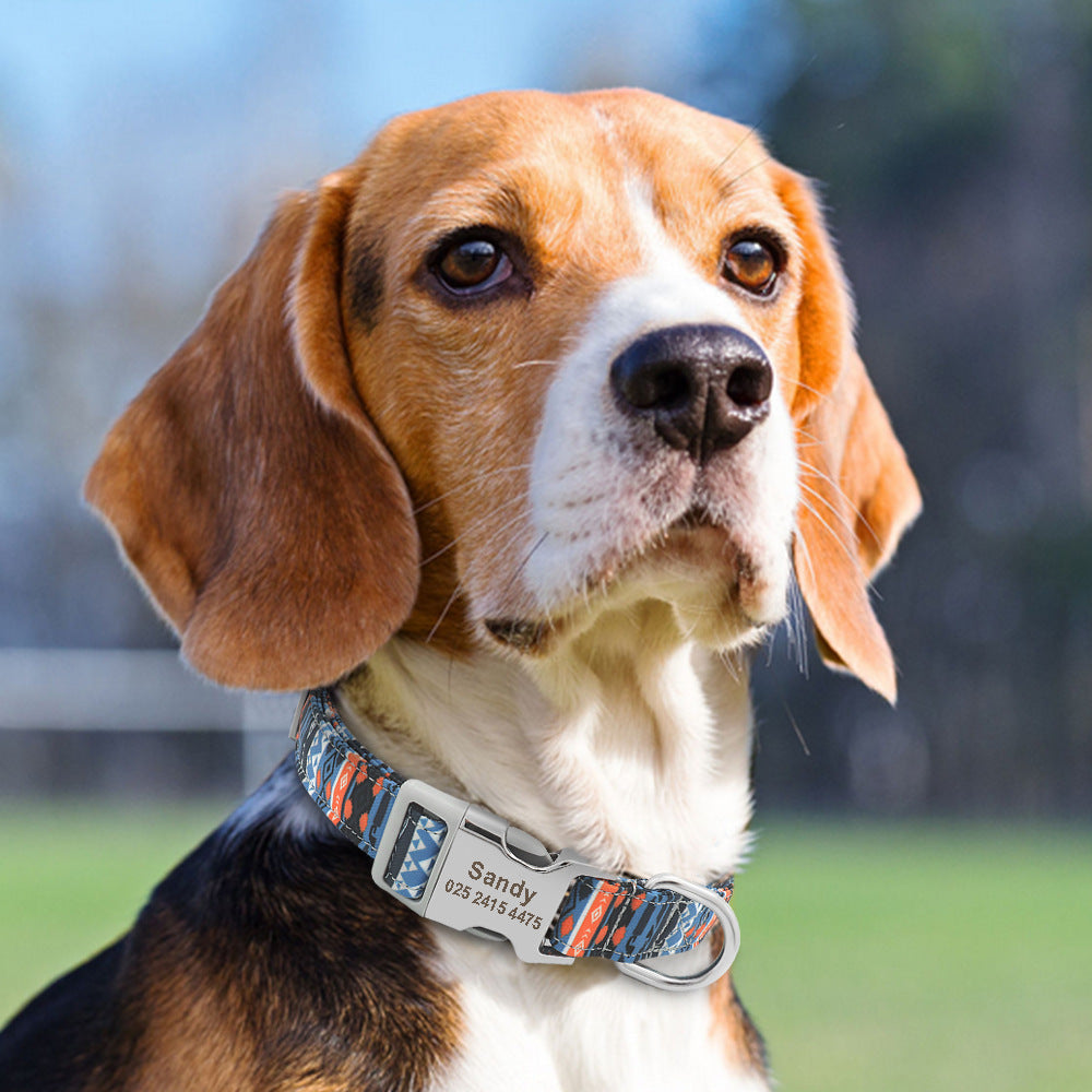 Personalised Name Collar for Dogs & Cats