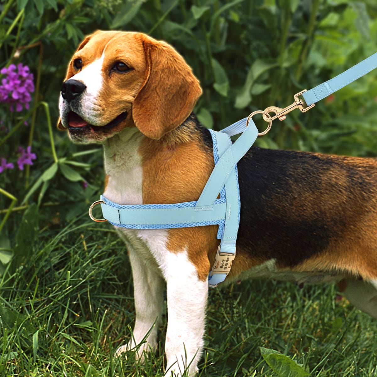 Personalised Dog Harness & Leash Set