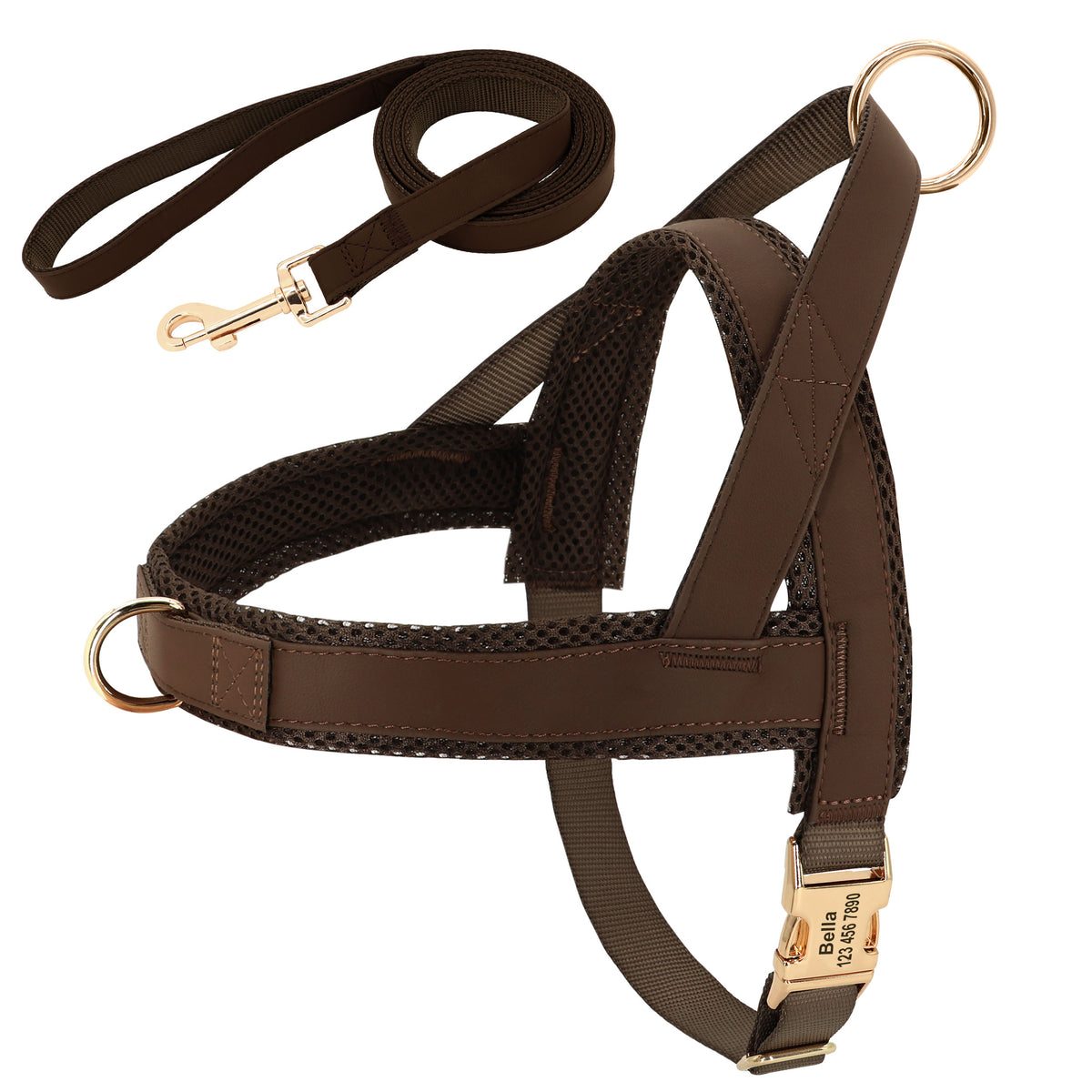 Personalised Dog Harness & Leash Set
