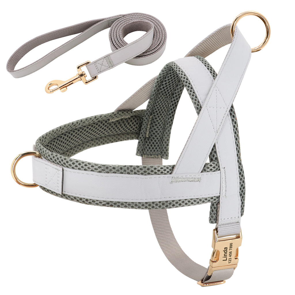 Personalised Dog Harness & Leash Set