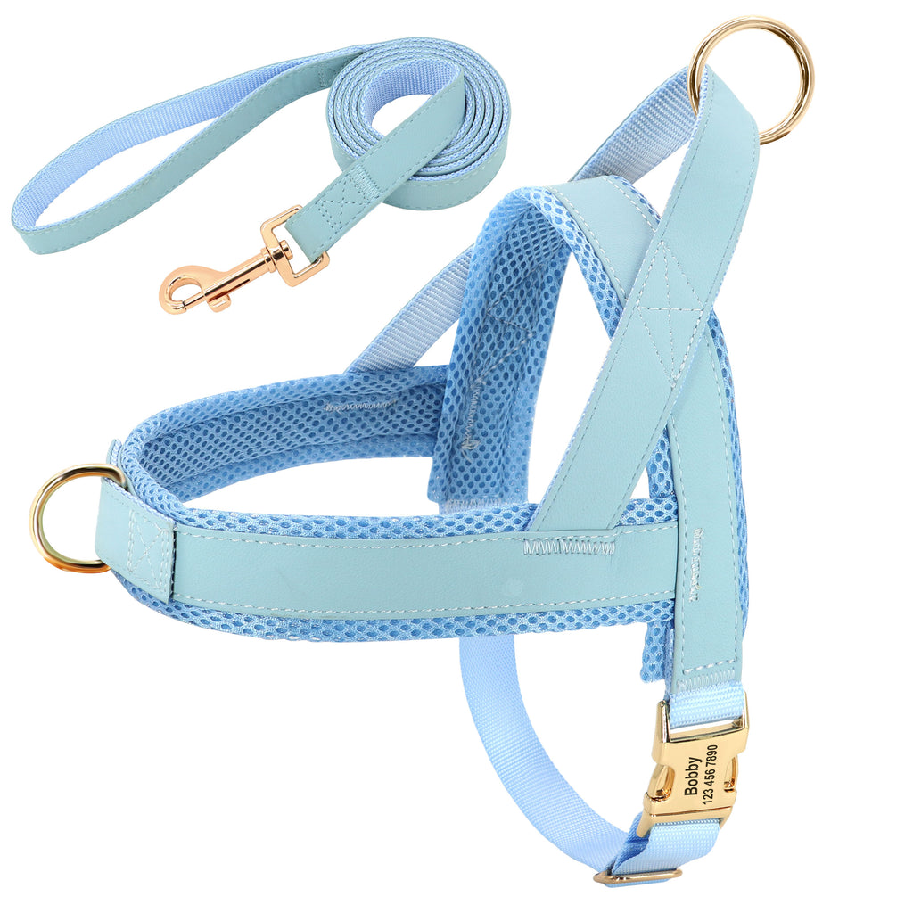Personalised Dog Harness & Leash Set