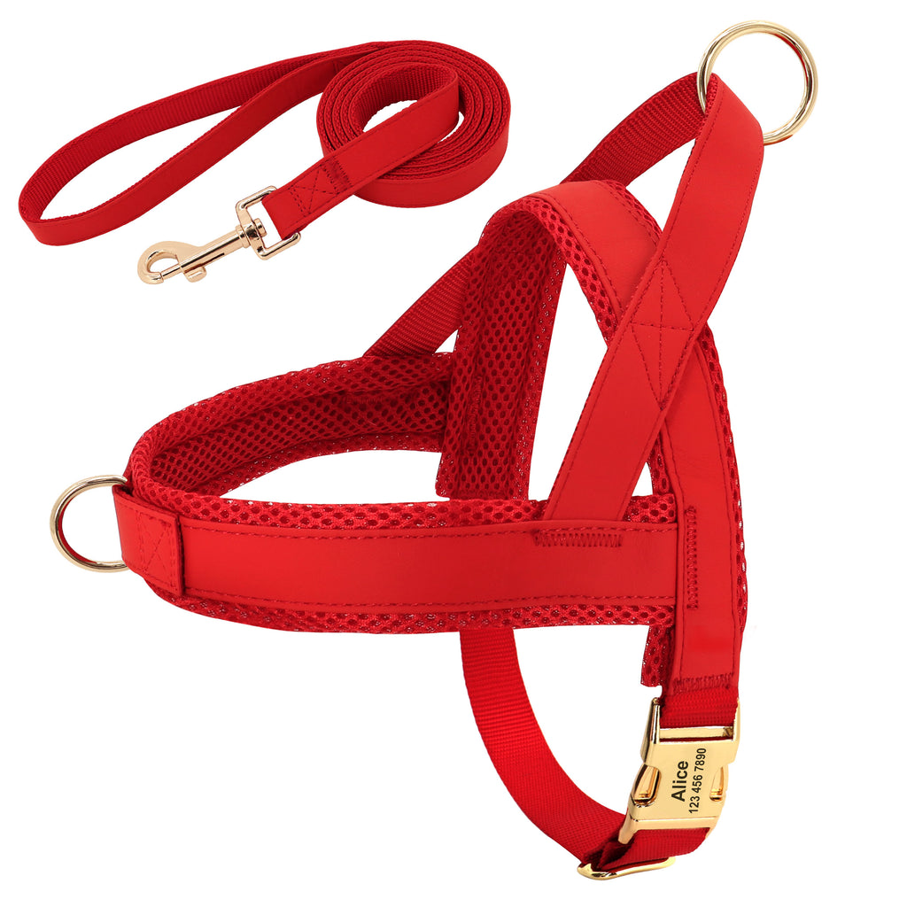 Personalised Dog Harness & Leash Set