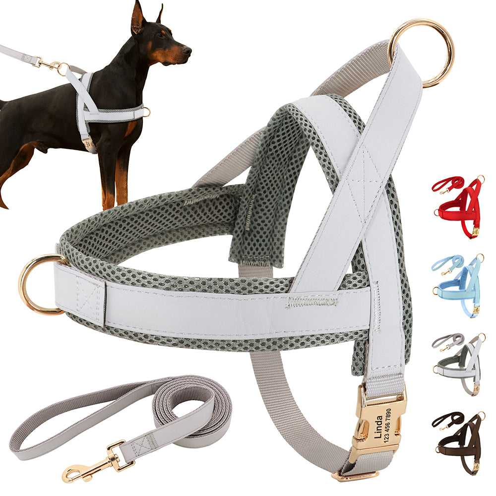 Personalised Dog Harness & Leash Set
