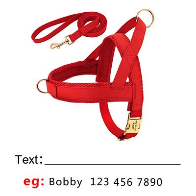 Personalised Dog Harness & Leash Set