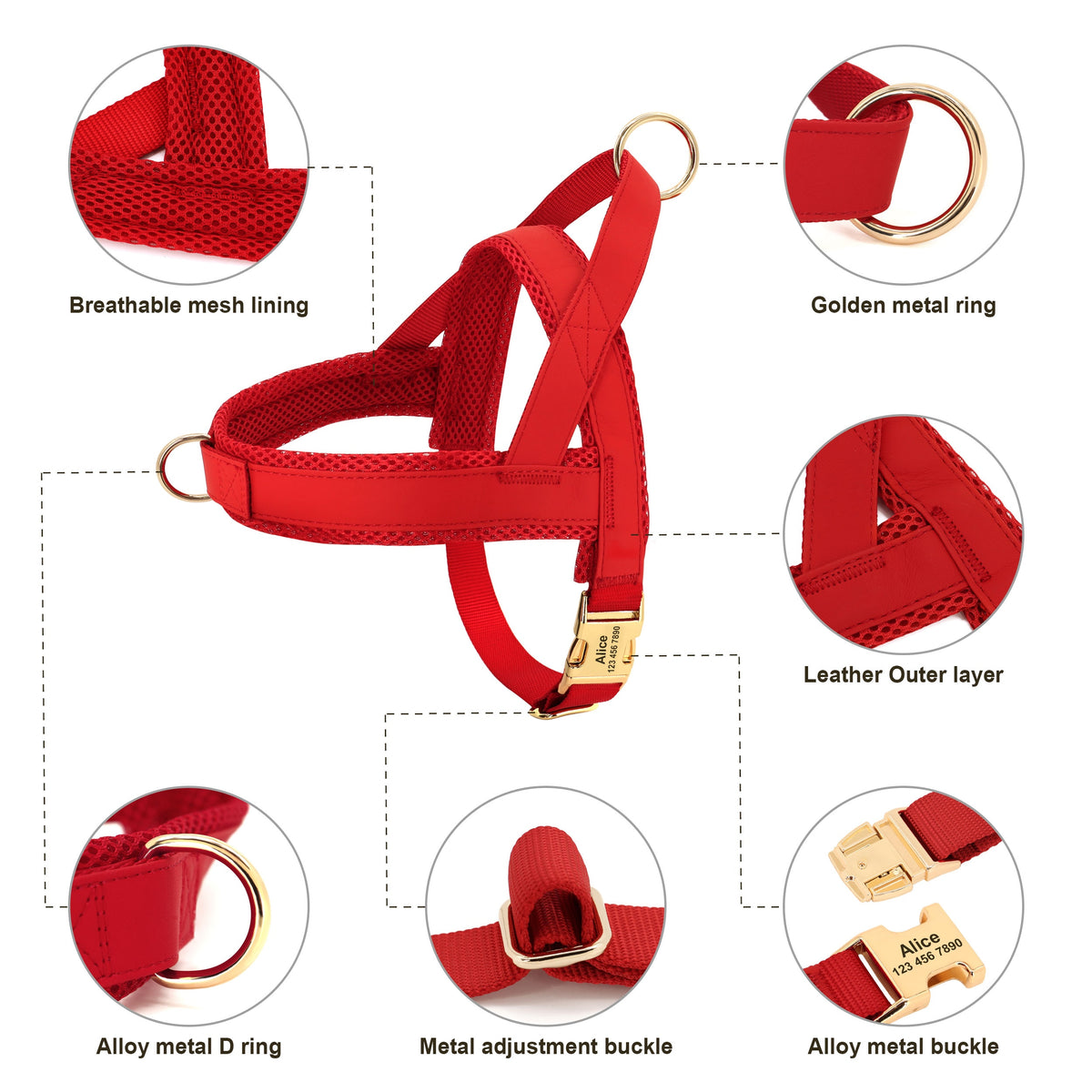 Personalised Dog Harness & Leash Set