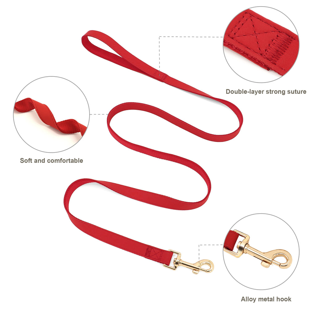 Personalised Dog Harness & Leash Set