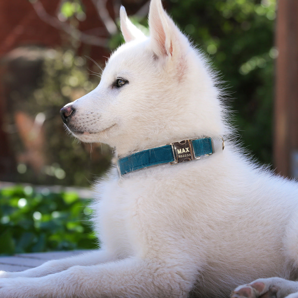 Engraved Anti-Lost Dog Collar (with Optional Lead)