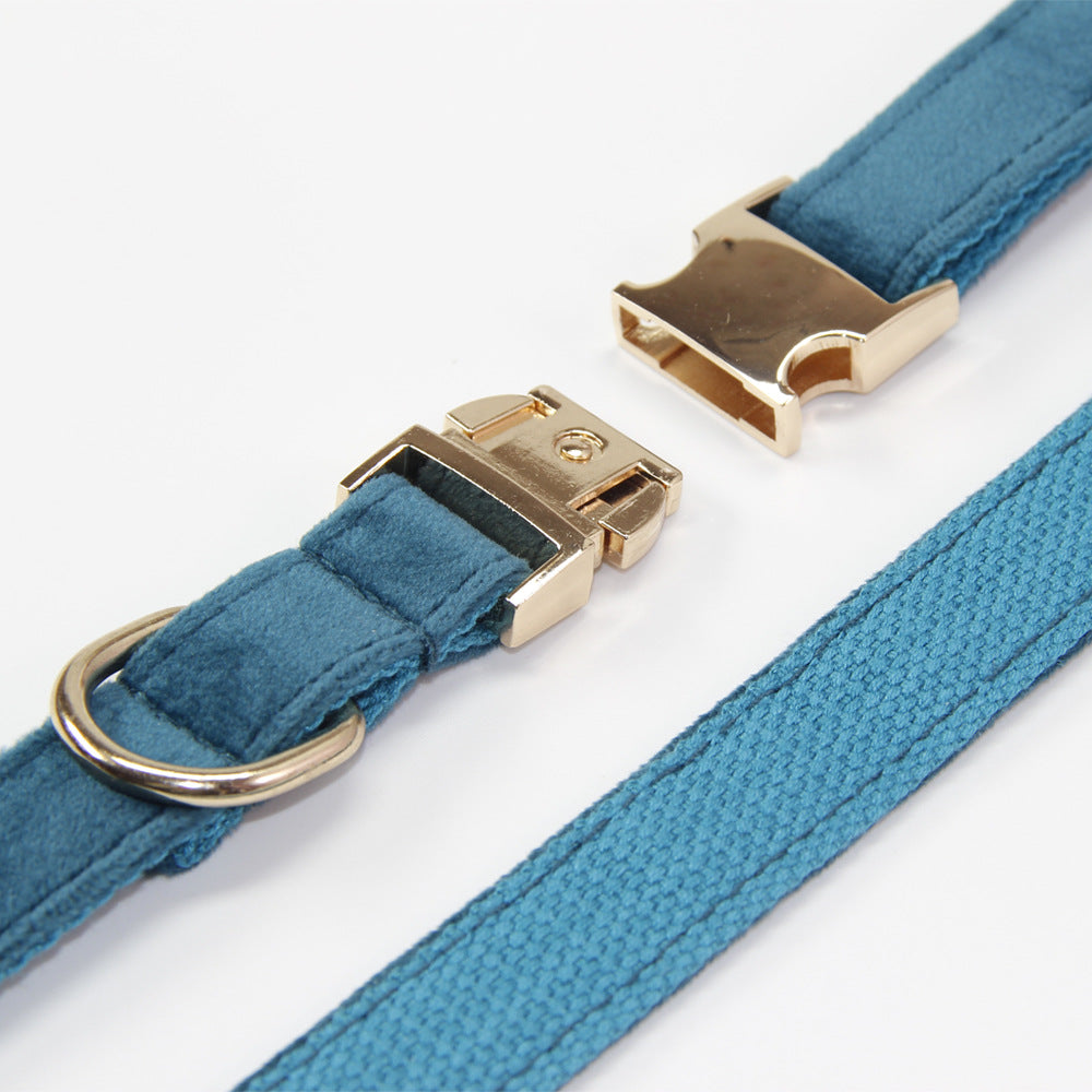 Engraved Anti-Lost Dog Collar (with Optional Lead)