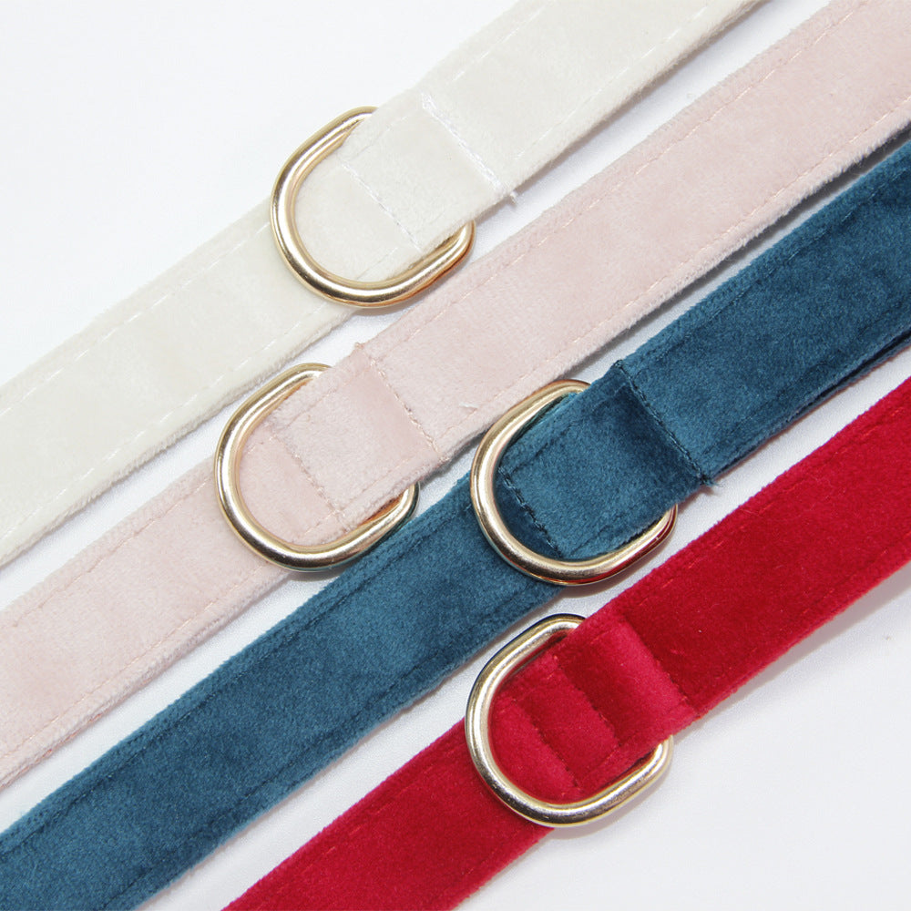 Engraved Anti-Lost Dog Collar (with Optional Lead)