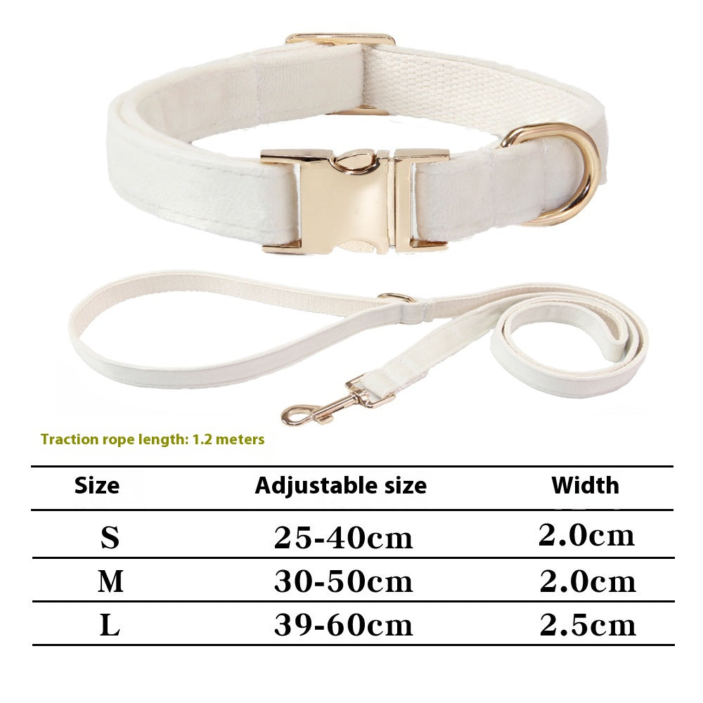 Engraved Anti-Lost Dog Collar (with Optional Lead)