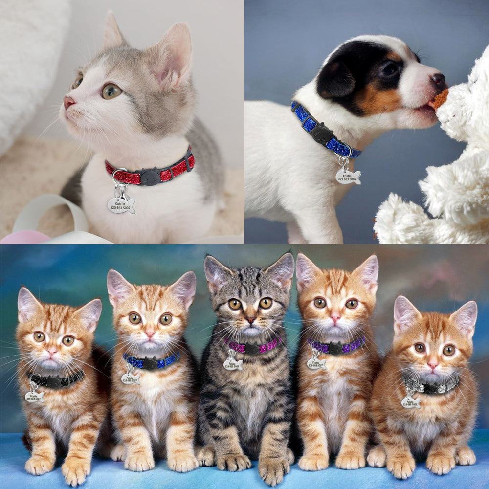 Breakaway Cat Collar with Engraved ID Tag