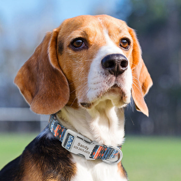 Personalised Name Collar for Dogs & Cats
